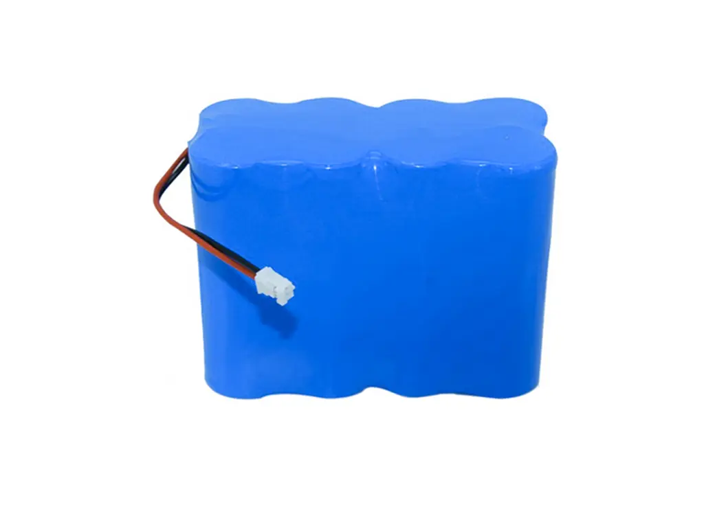 Custom 18650 Battery Packs