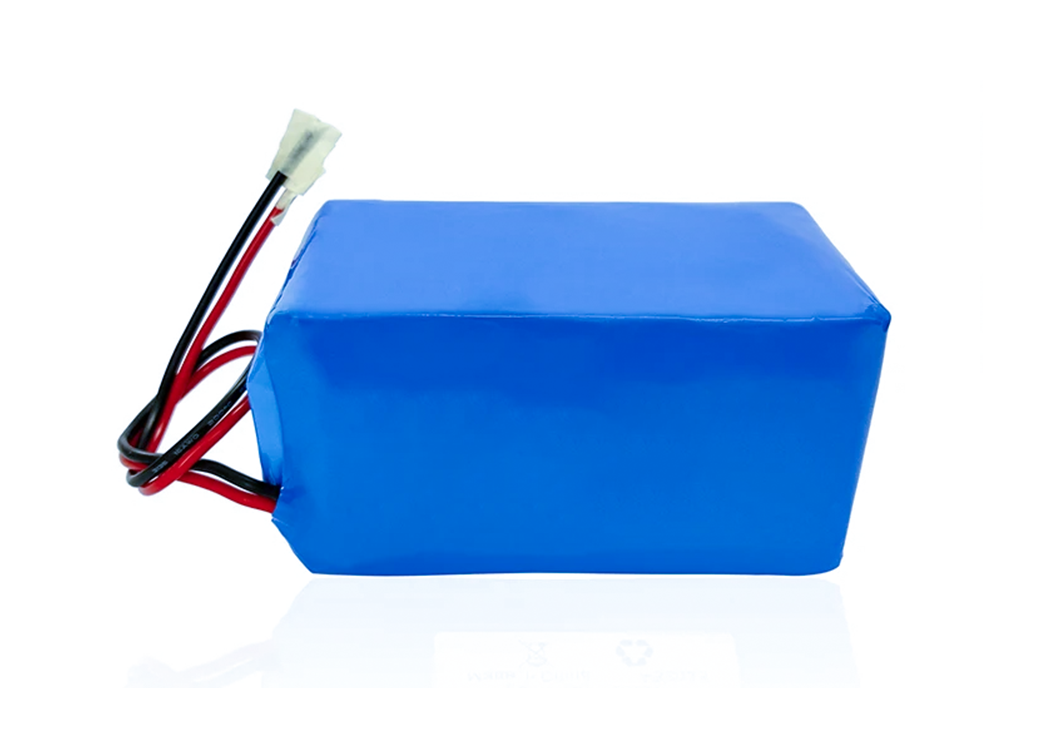 Seasider 24V 10Ah Lithium Battery Pack With Charger - Rechargeable Bare Leads For Various Devices
