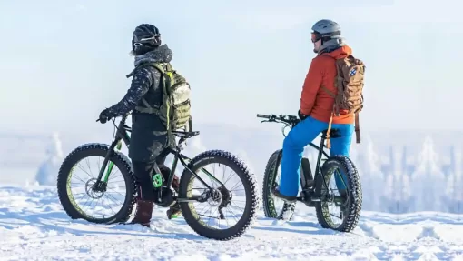 e-bike batteries in winter