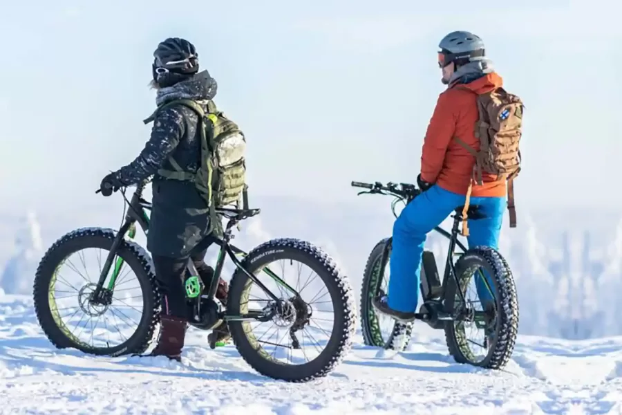 e-bike batteries in winter