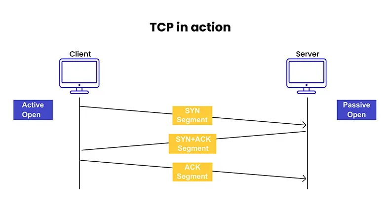 TCP (Transmission Control Protocol)