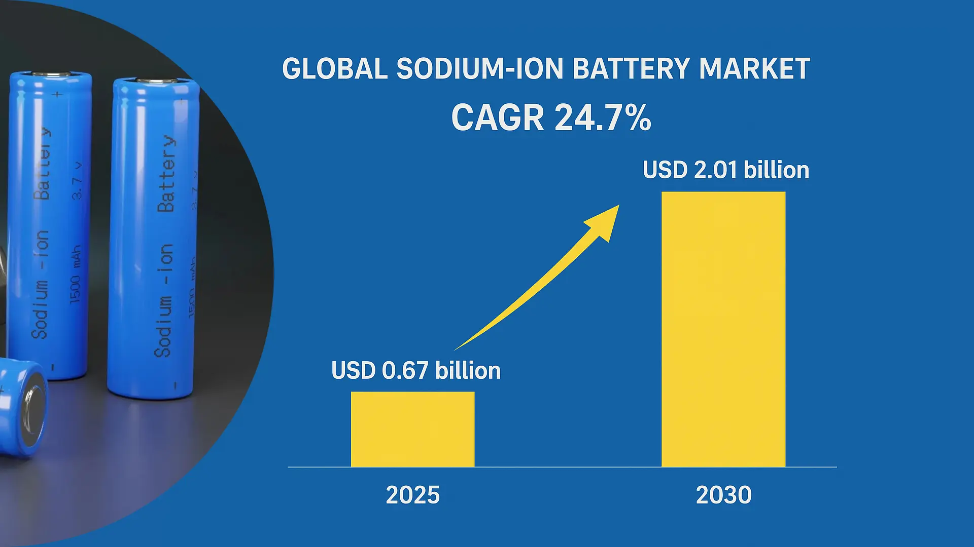 sodium-ion batteries manufacturer-market future growth trends
