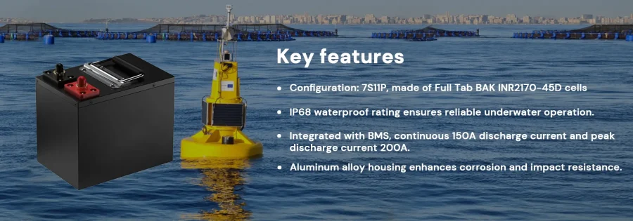 25.2V 49.4Ah Full Tab battery pack